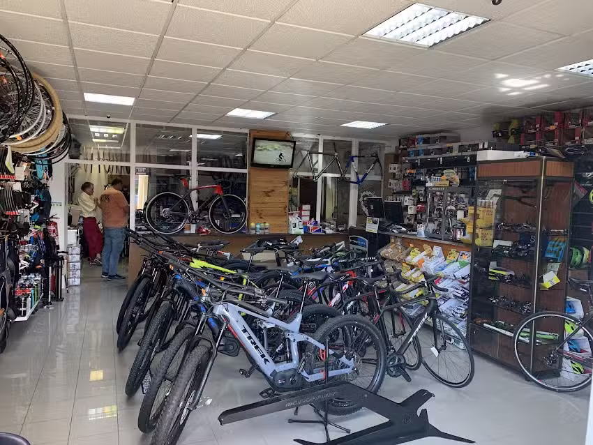 Avalanche, Artigos Desportivos, Lda.