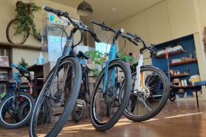 Biclas & Triclas – Porto Bike Tours and Rentals