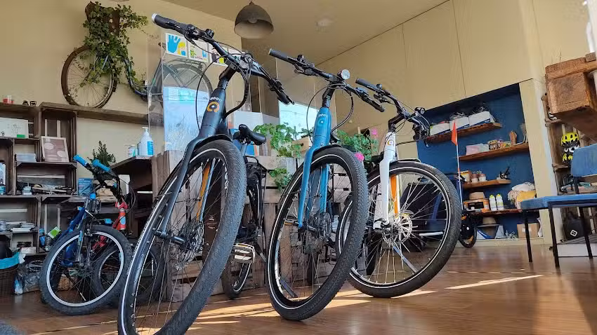 Biclas & Triclas &ndash; Porto Bike Tours and Rentals