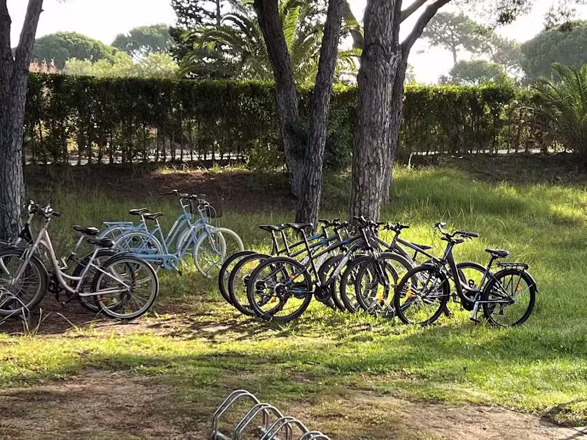 Bikers | Rent a bike