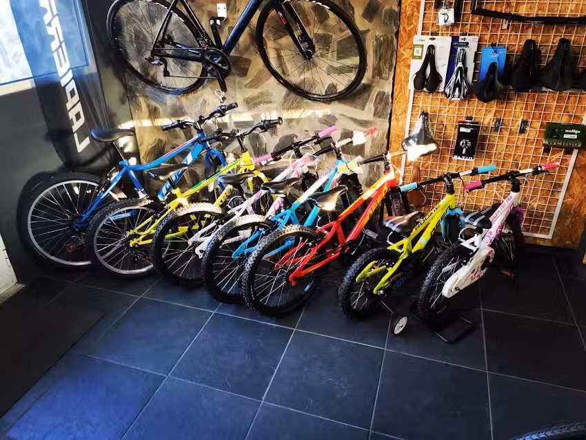 DiBikes &ndash; Loja Bicicletas