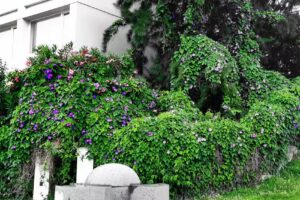 Estação Bicicletas Gira 410 – Rua da Mesquita / Universidade Nova de Lisboa