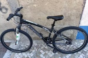 Feliciano José Carvalho