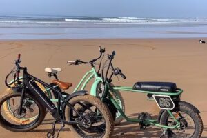 Free Wheels Electric Mobility