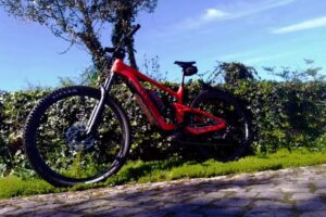 Giant Bikes Barcelos