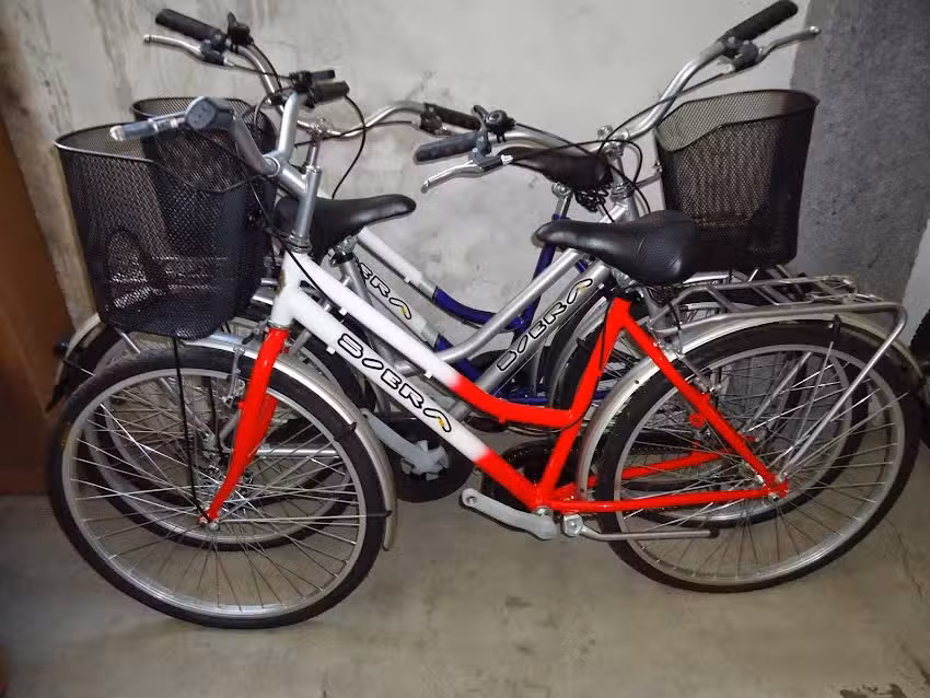 Irm&atilde;os Alvegas Lda