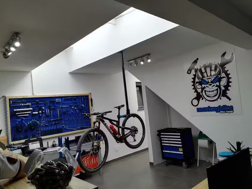 Monkey Bike