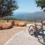 Mountainbike Portugal