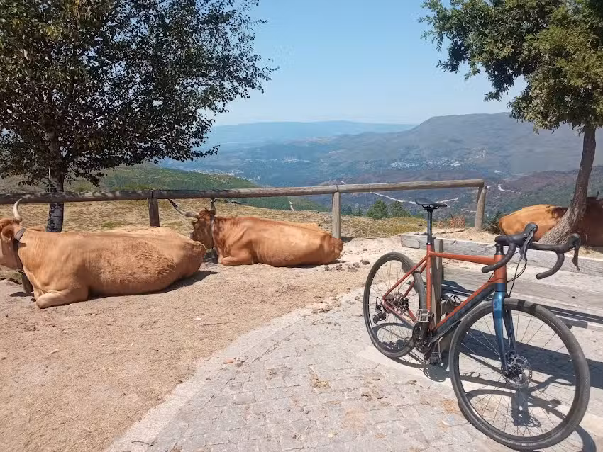 Mountainbike Portugal