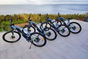 Nordeste Wild Nature