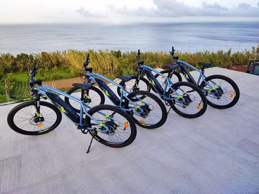 Nordeste Wild Nature