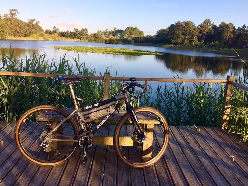 Tomazzini &ndash; Pedro Miguel Santos Teixeira