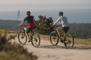 venimar – Bike Rentals & Tours