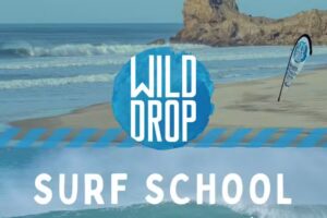 Wild Drop Surf School (Meeting Point)