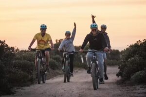 Workshop Bikes & Boards – Mira Trails