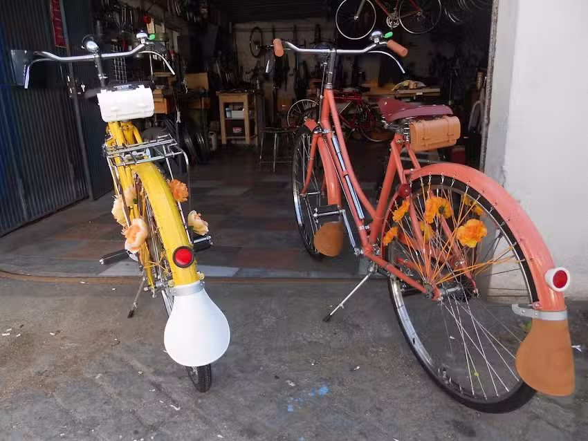 Z&eacute; Campinha &ndash; Restaurador e reparador de Bicicletas